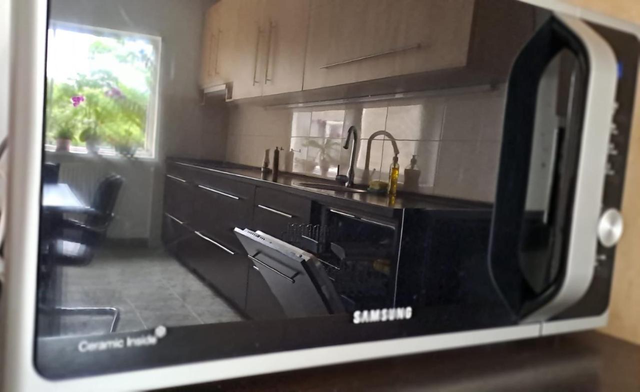 Daria Lorenzo Apartament 티미쇼아라 외부 사진