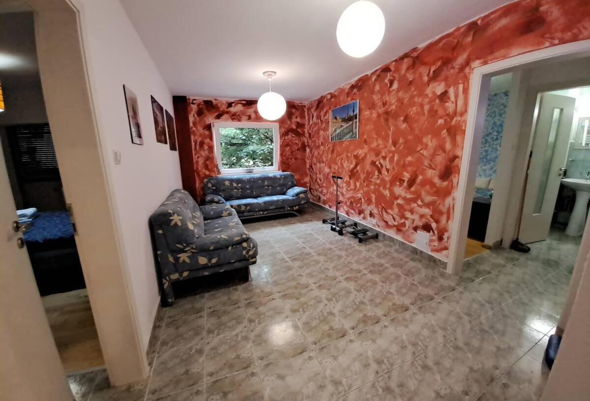 Daria Lorenzo Apartament 티미쇼아라 외부 사진